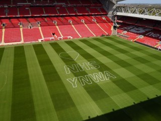 На поле стадиона На поле стадиона