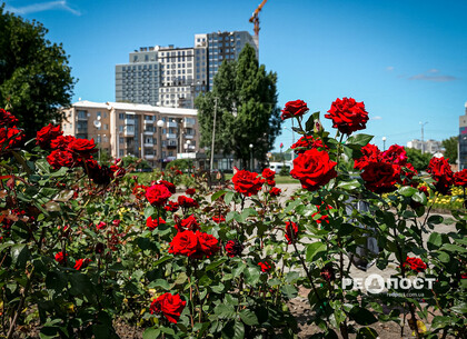 ������� ������ � ������ �� 19 ������