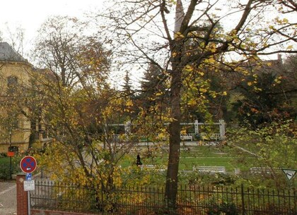 � ͳ������� �������� ���� �� ����� �������