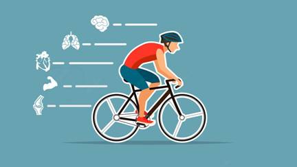 �� ������ ������������� �� �������