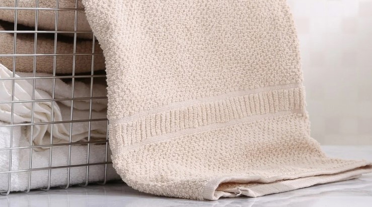 ���� ����� ������ �������