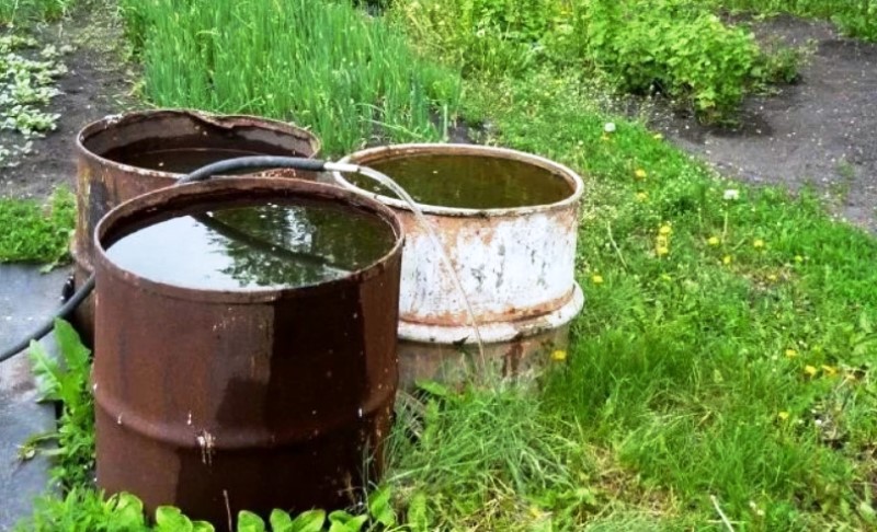 �� ��������� ������ ���� � ���� ��� ��쳿 �� ��������� �������� ������