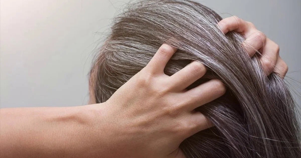 ����� ������ � �������� ���: 7 ������ �� �� � ���� ��������