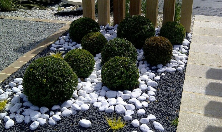 ���� ������: ���������� ������������ ��������