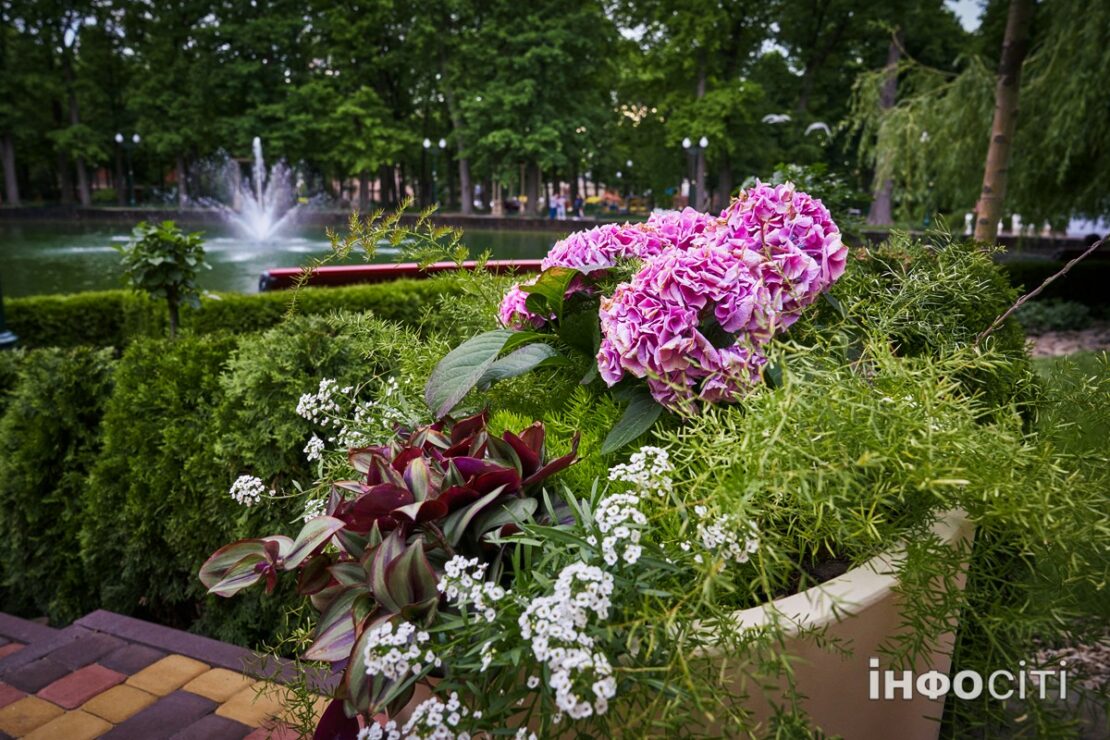 ������ � ������ �� ��������, 20 ������