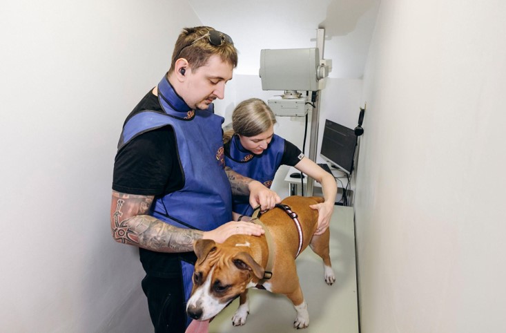 ��������� ����������� � ������������ �������� ����� �� ������ � ���� �� ������