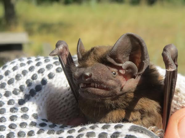 г����� �������� � ������: � ��������� ������ ����������� ����������� ���������