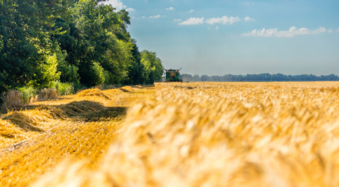 �������� ����� ������ ����� 34,7 ��� ���� �����