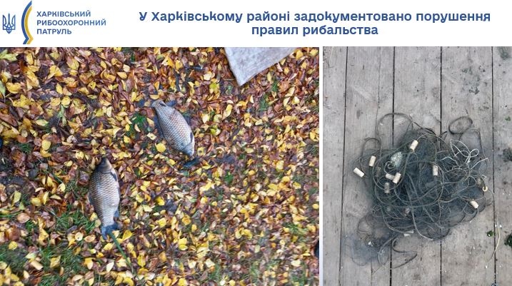 � ���������� �� ��������� ������������ ���� �� �������� � ���������