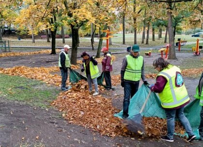 ���������� ���������� ������� ���������� ������ ����