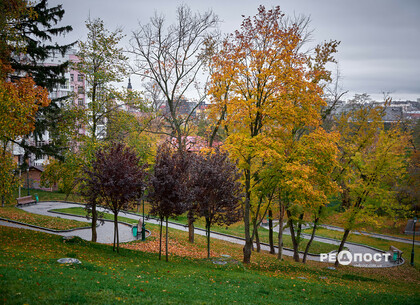 ��� ������ ��� ��������� � ������ �� ��������