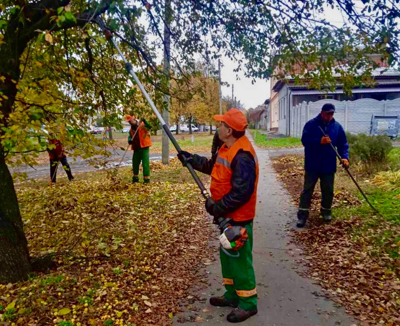 �������� ������������ ������� �������� ��� � ���������� ������