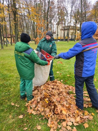 Комунальники зібрали понад 700 кубів листя у Центральному парку Харкова Комунальники зібрали понад 700 кубів листя у Центральному парку Харкова