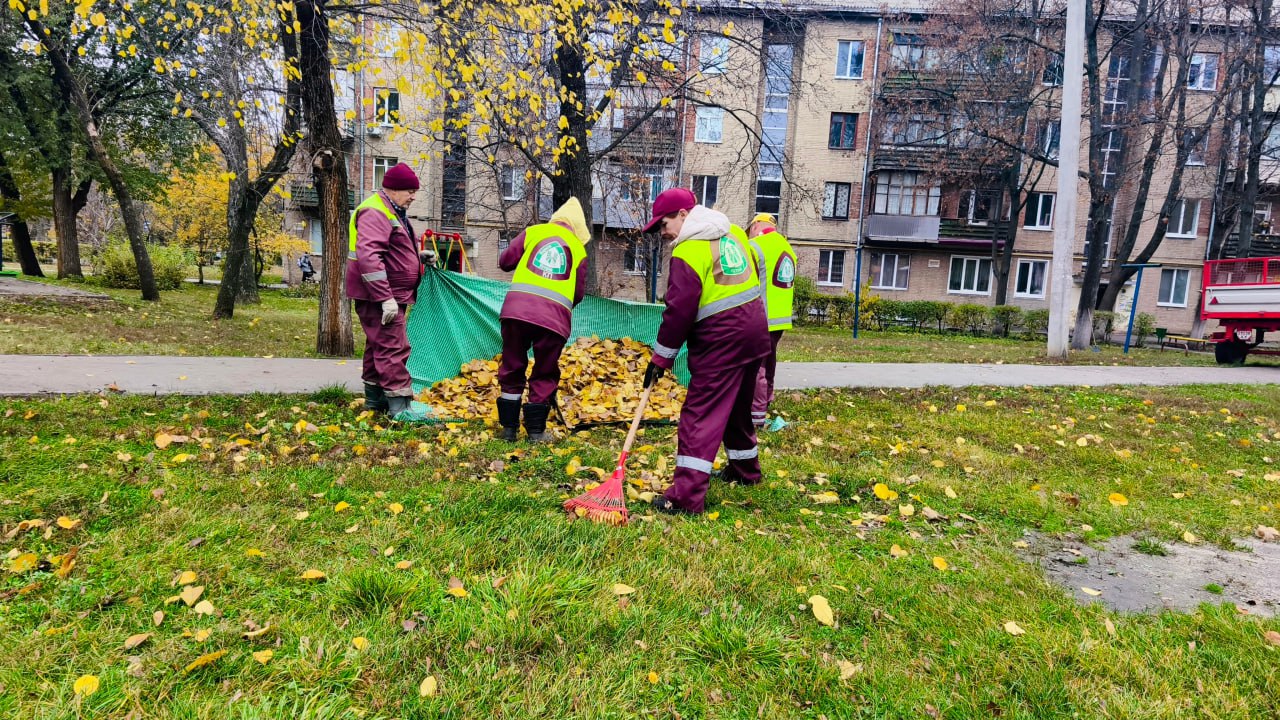 � ������ ������������ ������� ������ ����� 43 ������ ��������� �����