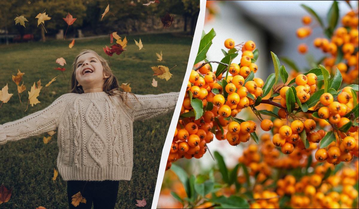 �� ���������� ������ �����: ����� 6 ��������� 2025 �� �������� �� �����