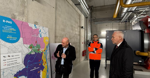 ���� ������� ������ ������������ ��� � ���������