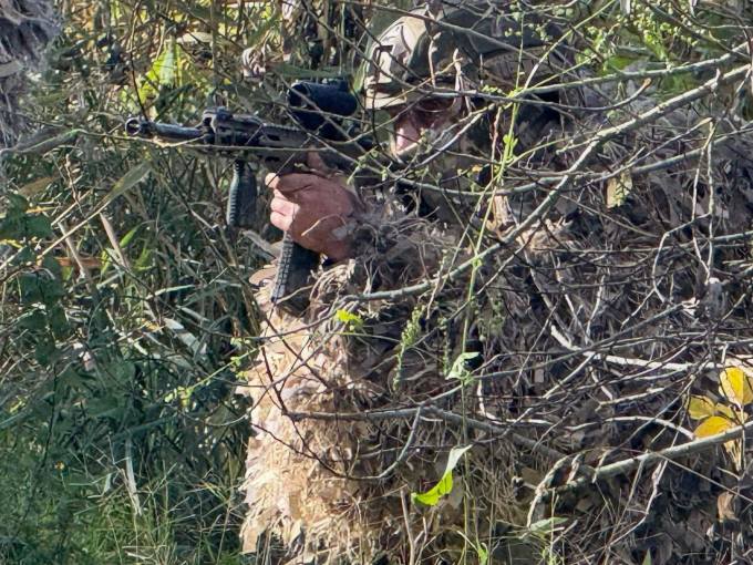 �������� ������ ������ 12 ���� ������ �� ���������