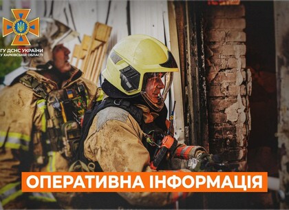 ������������ ��������� �������� 5 �����