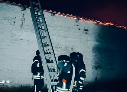 У Харківській області через обстріл загинуло близько 60 свиней У Харківській області через обстріл загинуло близько 60 свиней