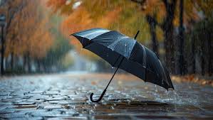 Погода в Харкові на сьогодні, 24 листопада Погода в Харкові на сьогодні, 24 листопада