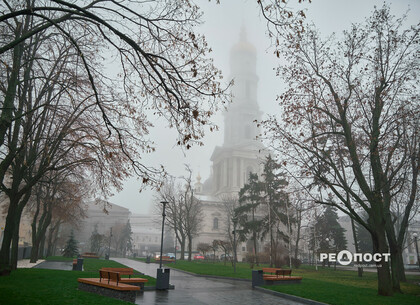 � ������ ������ ���� ������ �������� ������������� ������