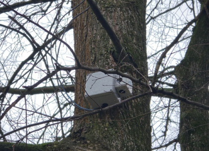 � ��������� ��� ������������ ������� �������������� ��������