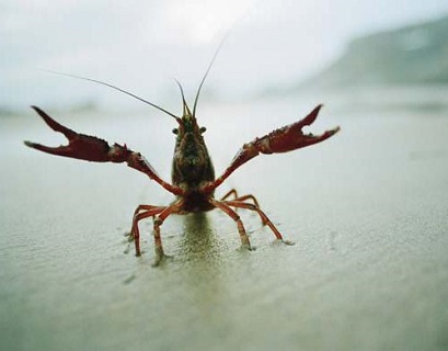 � 1 ������ �� ��������� ������ �������� �� ����� ����