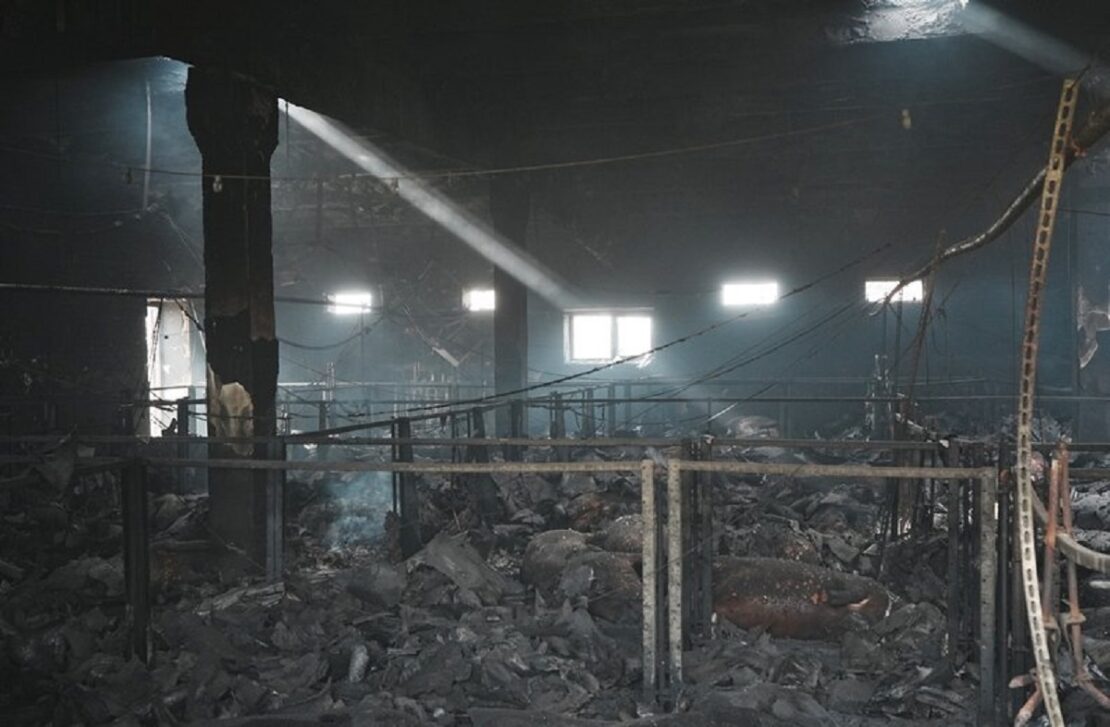 ������� ���������� ������ ������� ���� ����� �� �� ���������� �� ���������