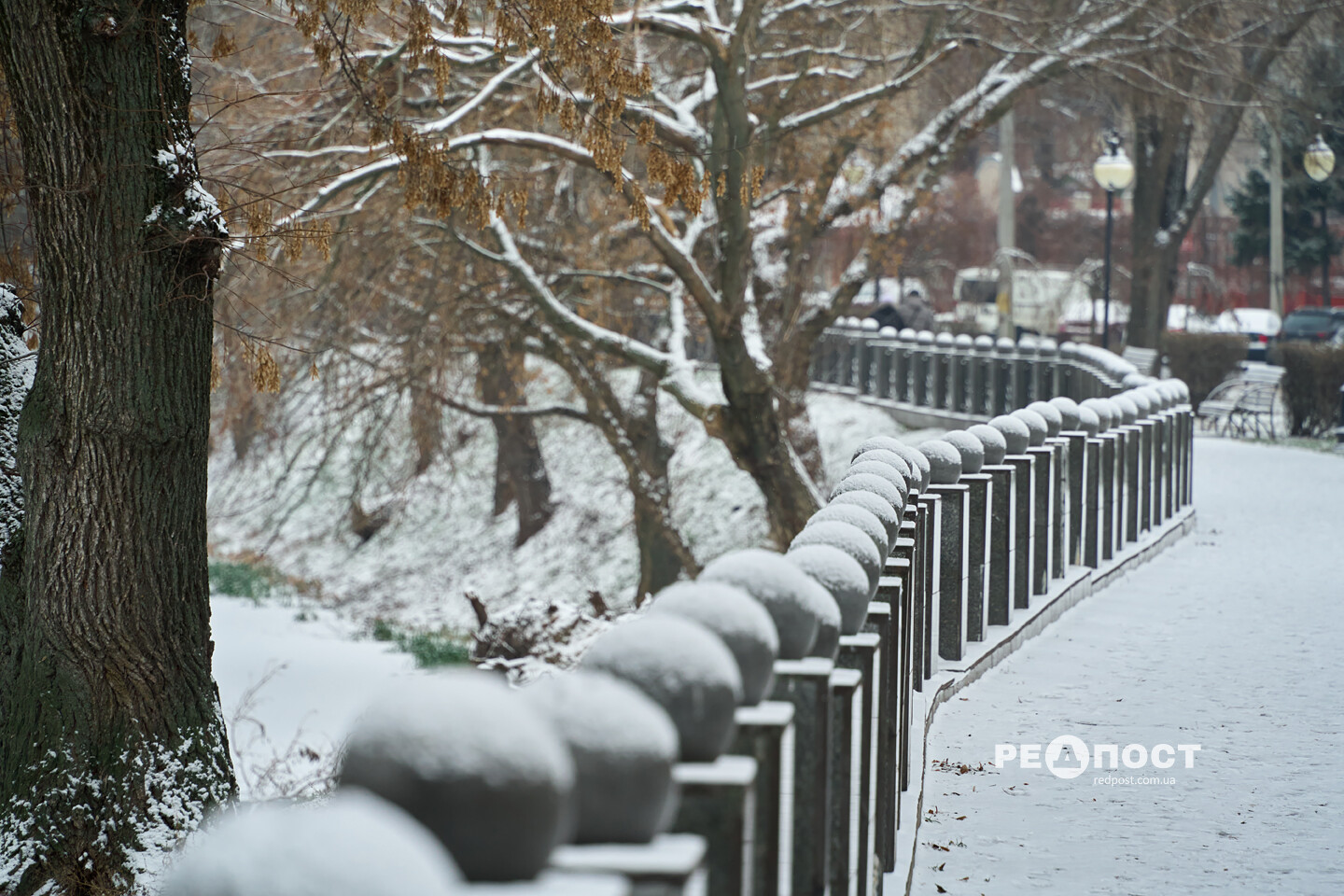 Сніговий понеділок у Харкові Сніговий понеділок у Харкові