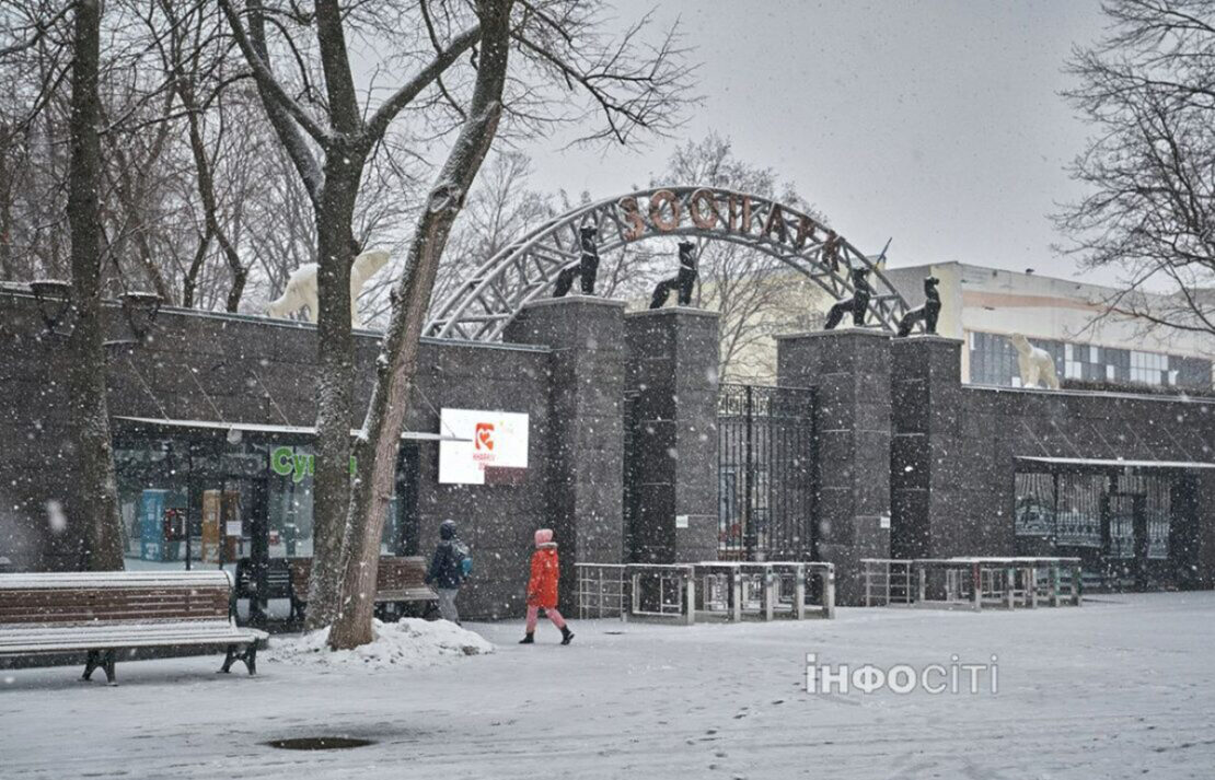 Харків’ян запрошують на святкову прогулянку до зоопарку Харків’ян запрошують на святкову прогулянку до зоопарку
