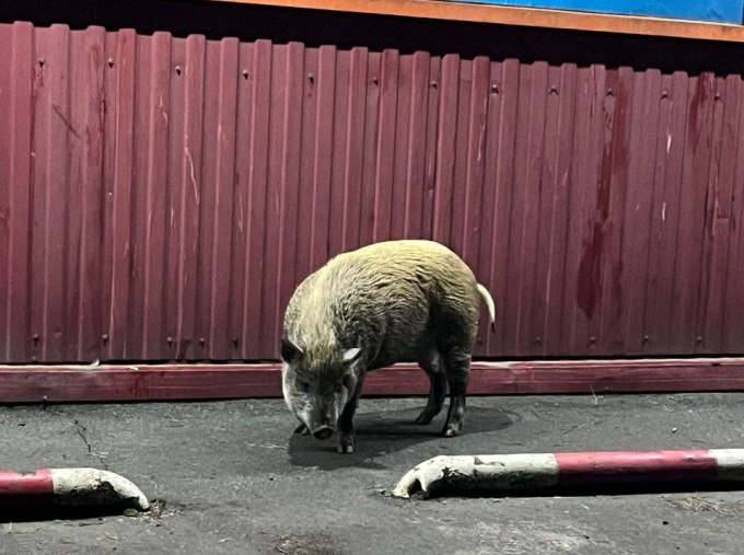 ���� ������������� � �������� ������� ����������� ����� ������ ������