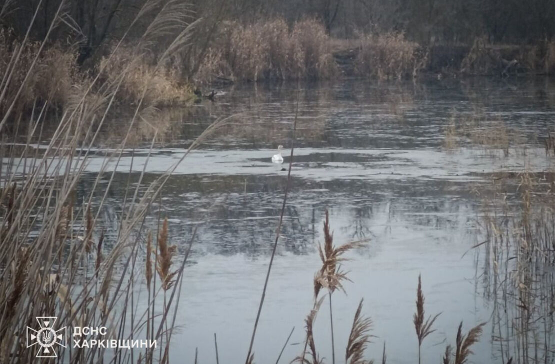 �� ��������� ������������� ��������� ������