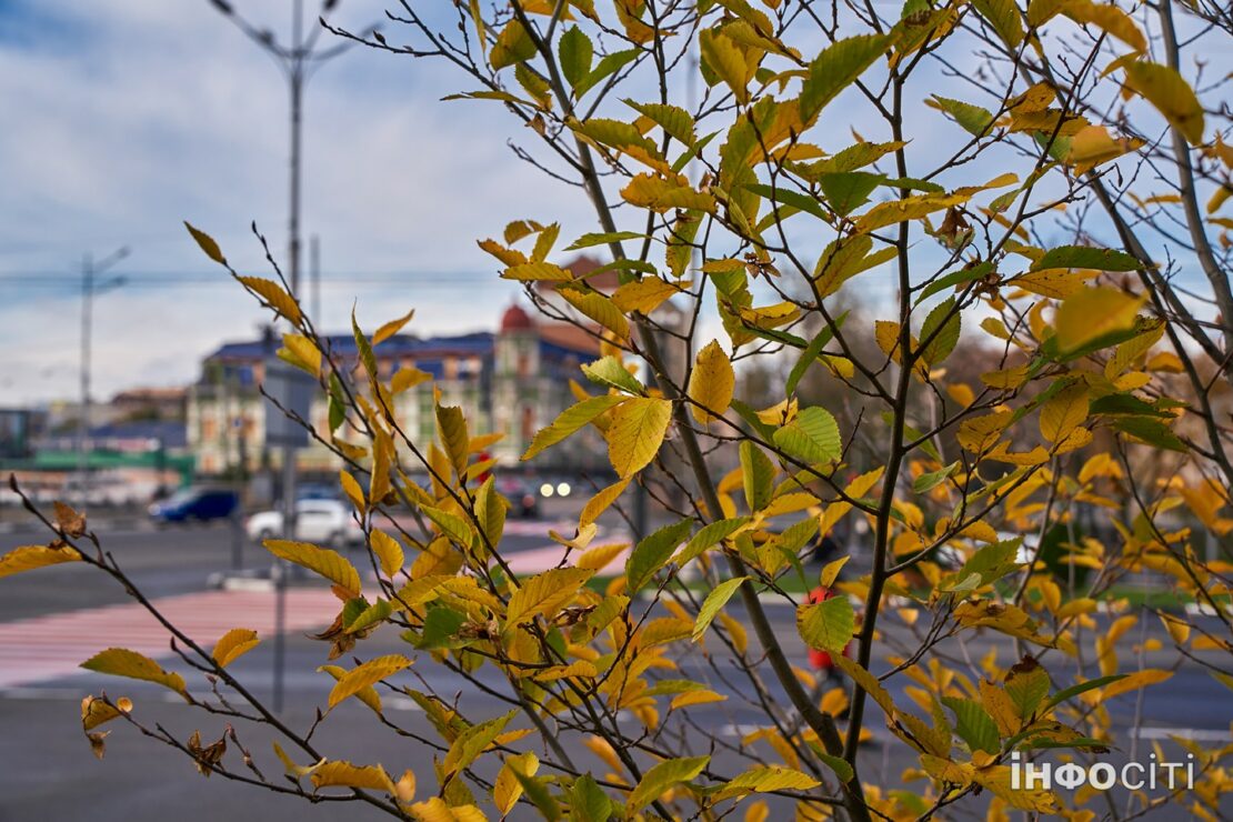 ������ � ������ �� ��������, 19 ������