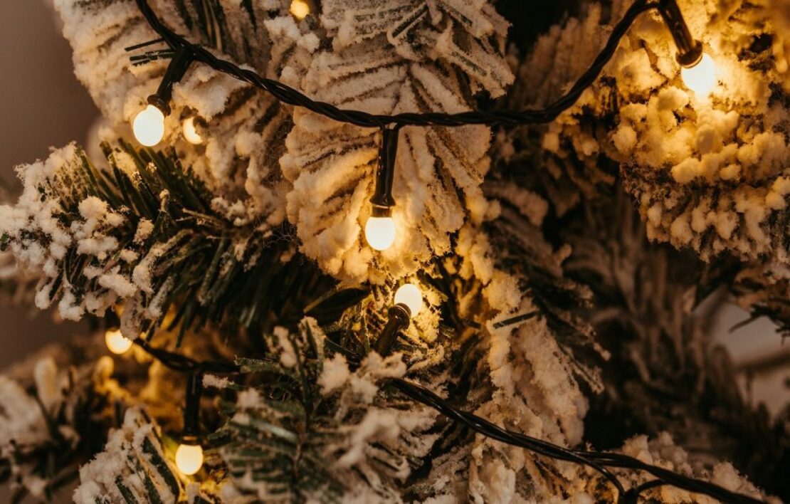 ������ � ������ �� ������, 20 ������