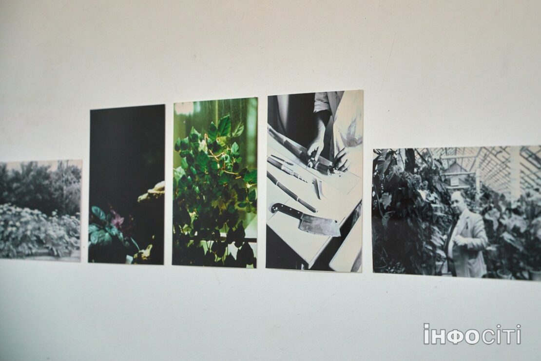 � ������ ��������� �������� �������� ����� 