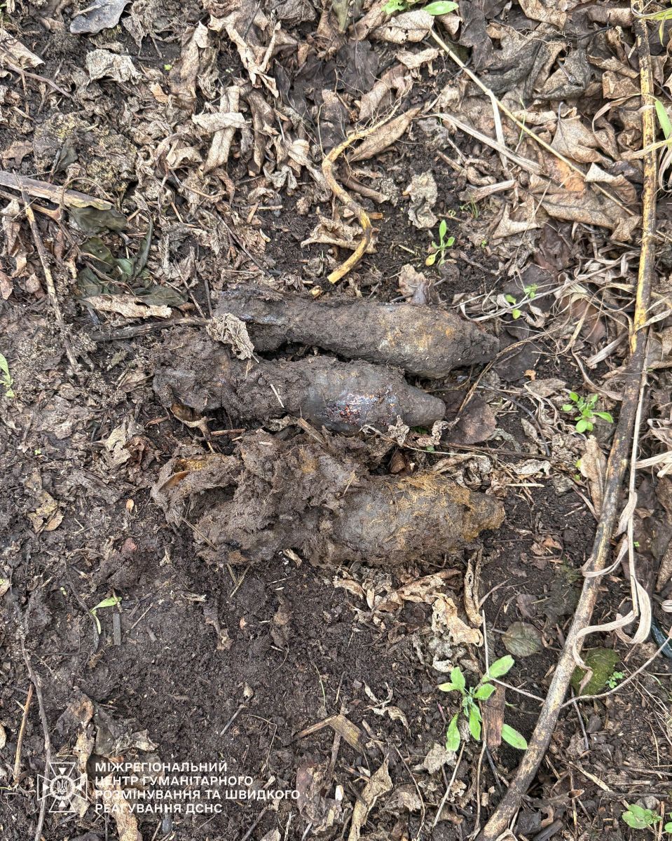 У Харківській області виявили міни часів Другої світової війни У Харківській області виявили міни часів Другої світової війни