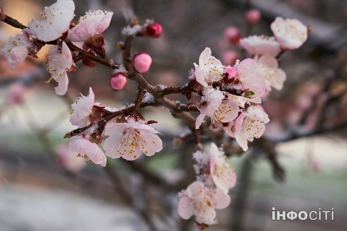 Погода у Харкові на сьогодні, 24 грудня Погода у Харкові на сьогодні, 24 грудня