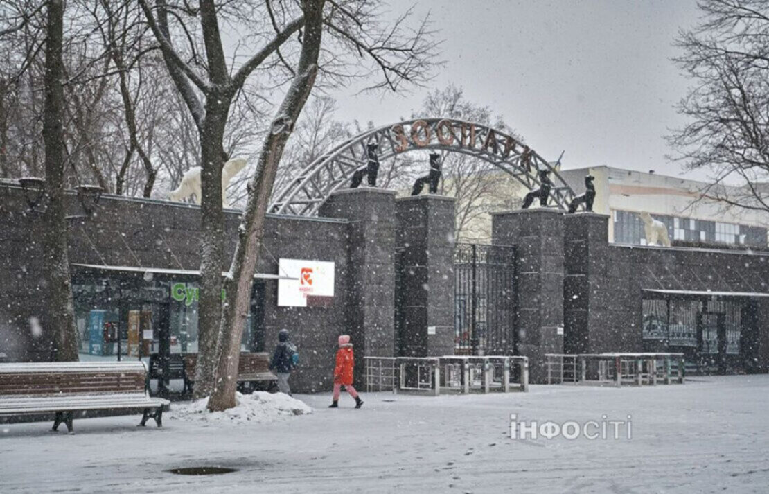 ������ ������ ����������� �������� �� �������� �����