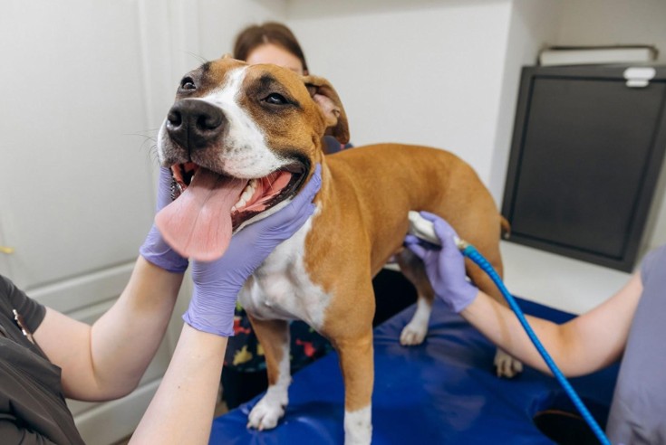 ������� ������� ��������� � ����. �� �����������?