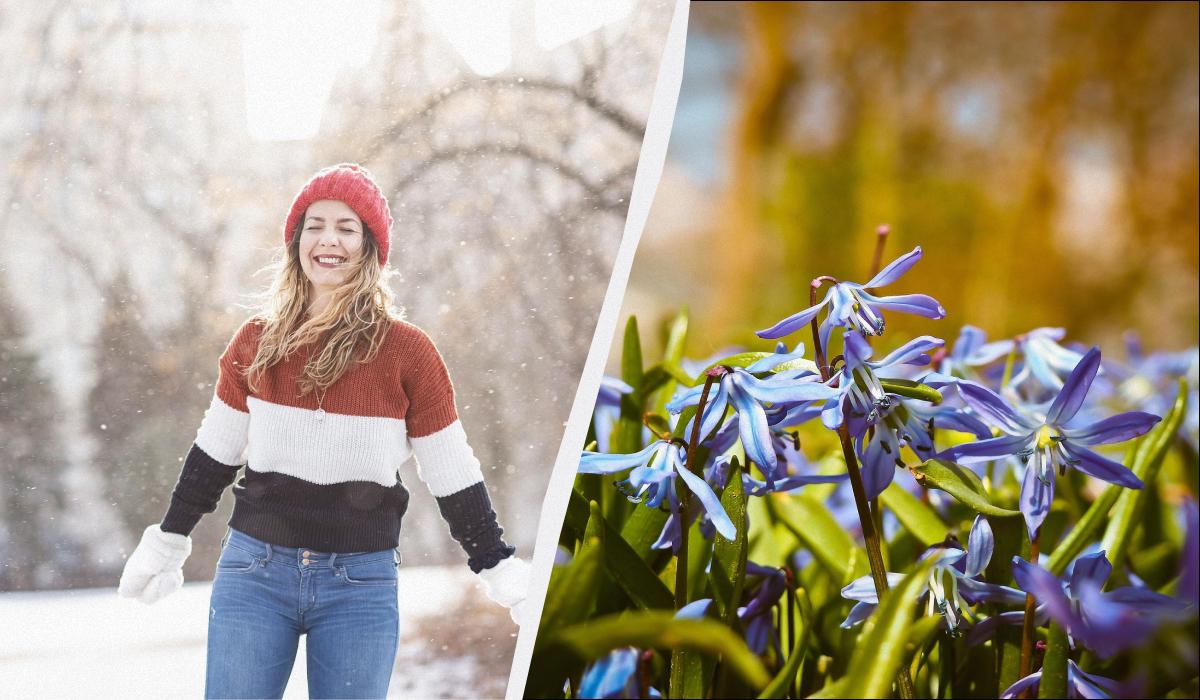 ��� ��� ����� 5 ������� 2026: �� ����'������ ������� ������� �� ������ ��������