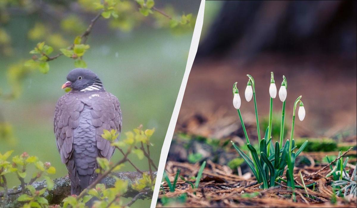 Свято 6 березня в Україні: який сьогодні є обряд для поминання померлих Свято 6 березня в Україні: який сьогодні є обряд для поминання померлих