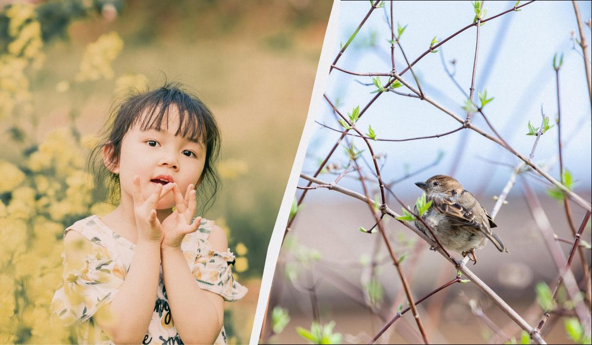 ����� 7 ������� 2026: �������� ����� ���, �� ���������� ������ � ������� �������