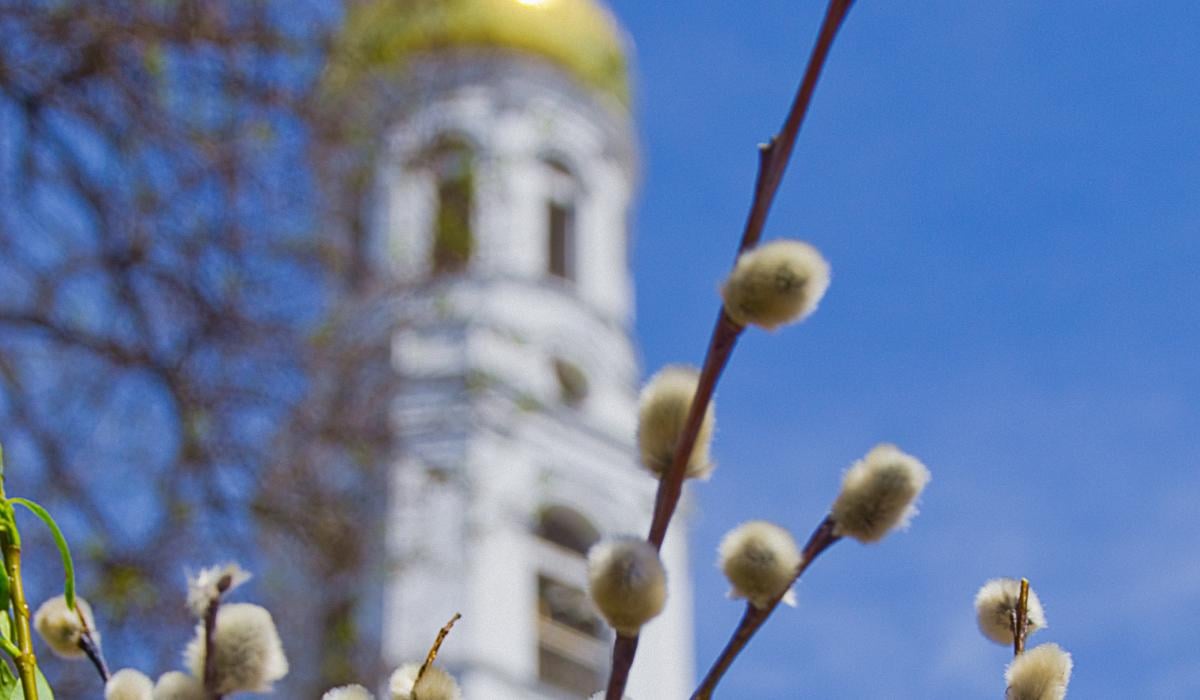 8 �������: �������� ����� ��������, �� ����� ����� �������� � �� �� �����