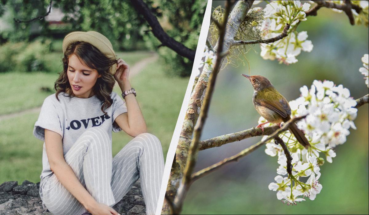 �� ����� ���� ����: �� �� ����� 8 ������� 2026 ������������ � ������