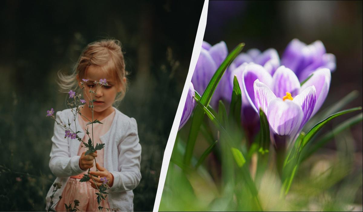 9 ������� - ������ ����� � ������: ��������� ������ �������� � ������ ������