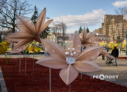 ������������ ��������, ����� ������������ � �������� ��������: �� �������� � ������ �� �������