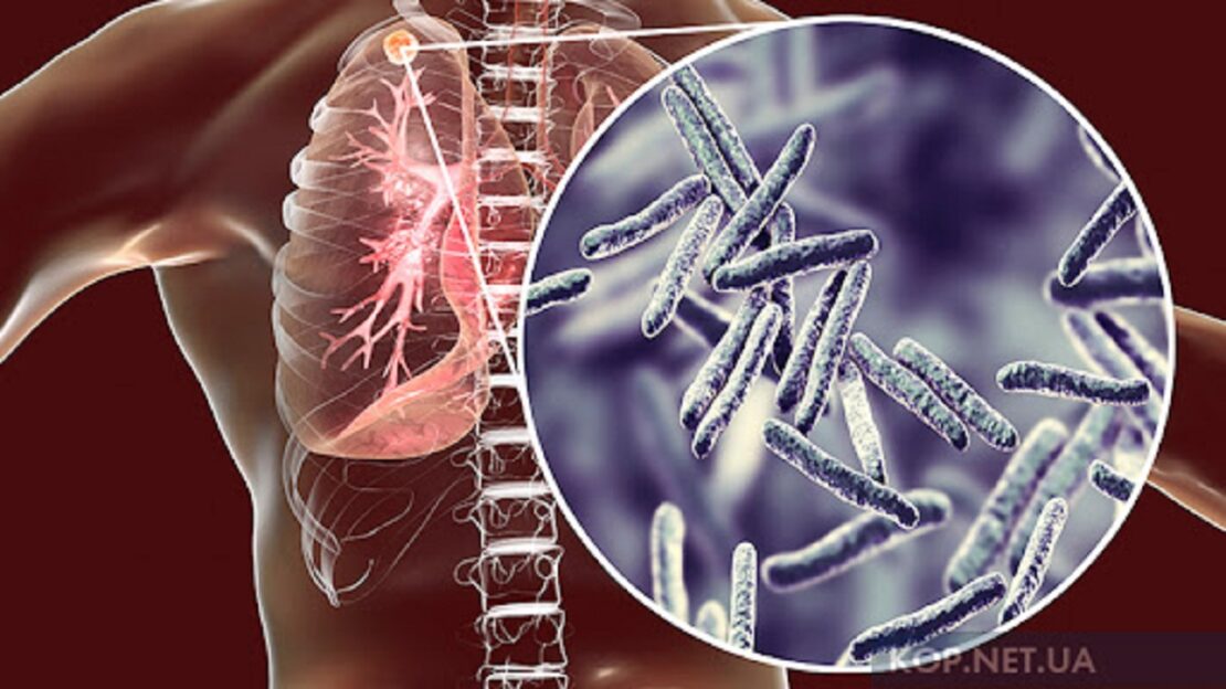 ³��� ������ �������� ������������ ����� ������ ���������