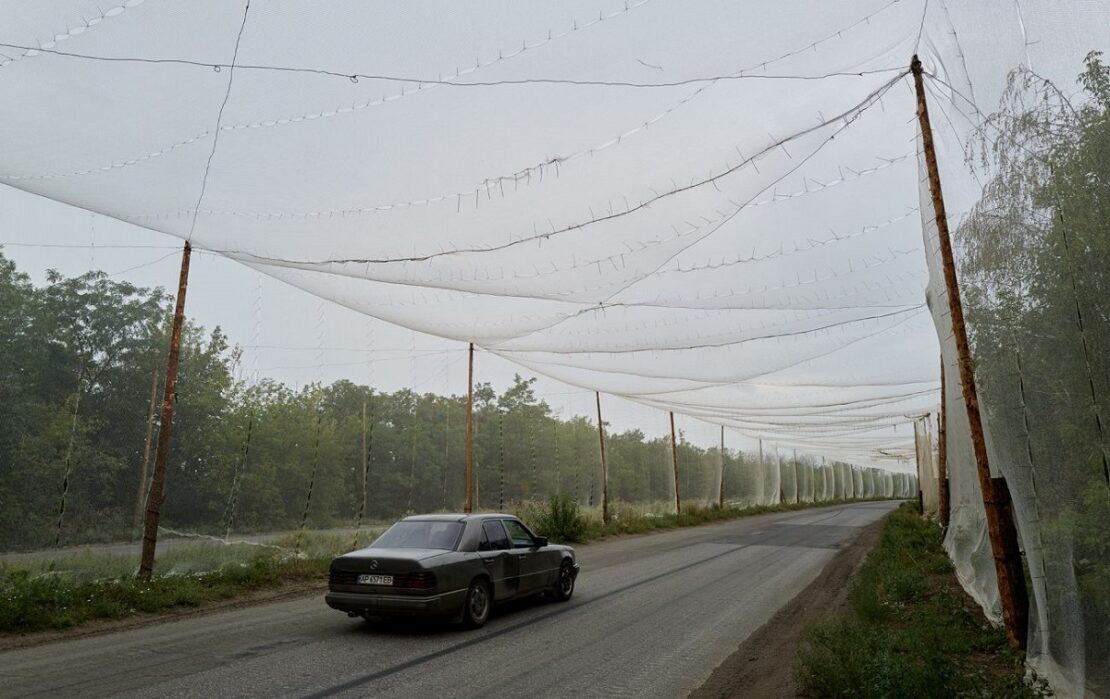 ���� ������� ���������� ������������ ���� ������������������