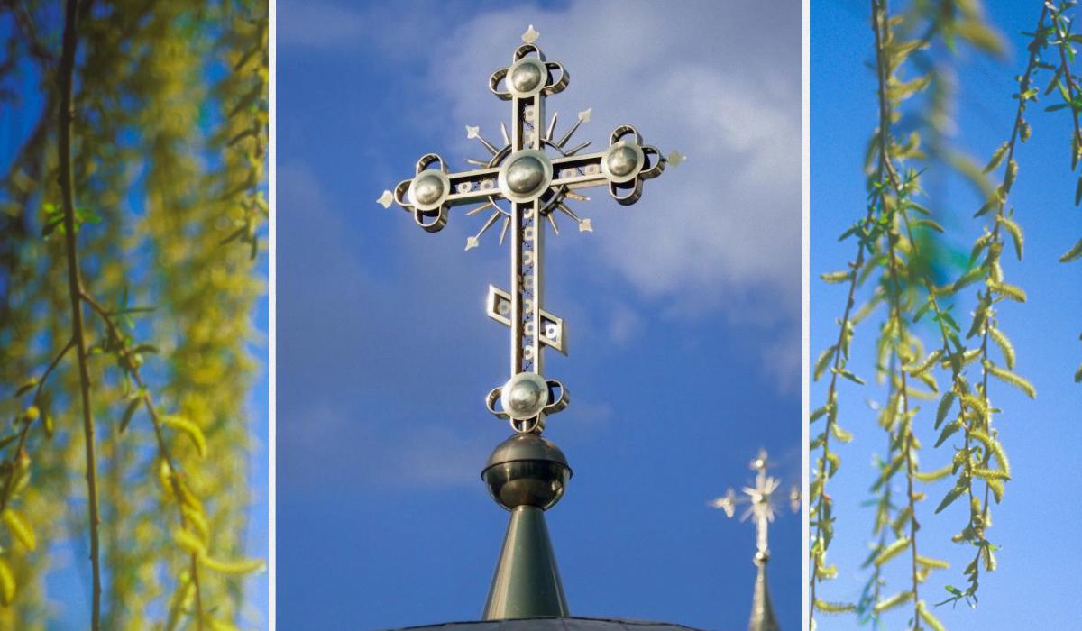 7 �����: �������� ����� ��������, ������� ������� � ����������� - ������� �������� ���