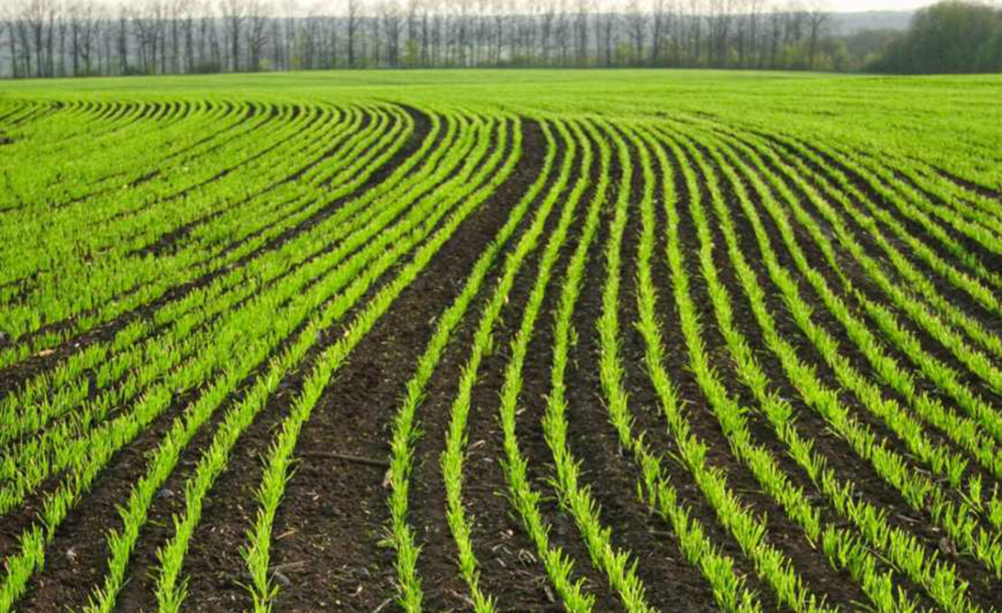 �������� ����� ������ ����� ������ ������� ���� ��������